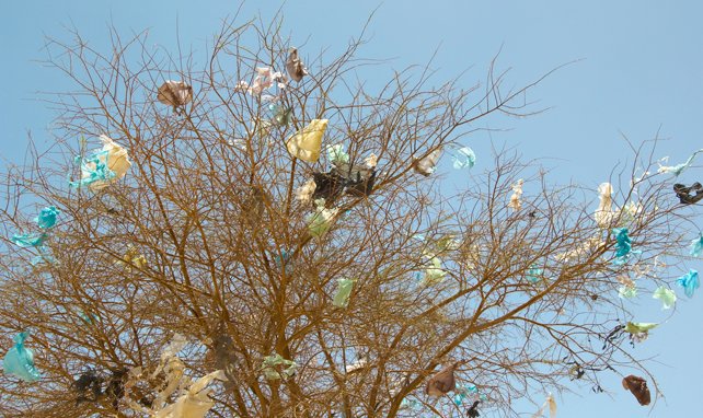 Who cares about plastic bags?